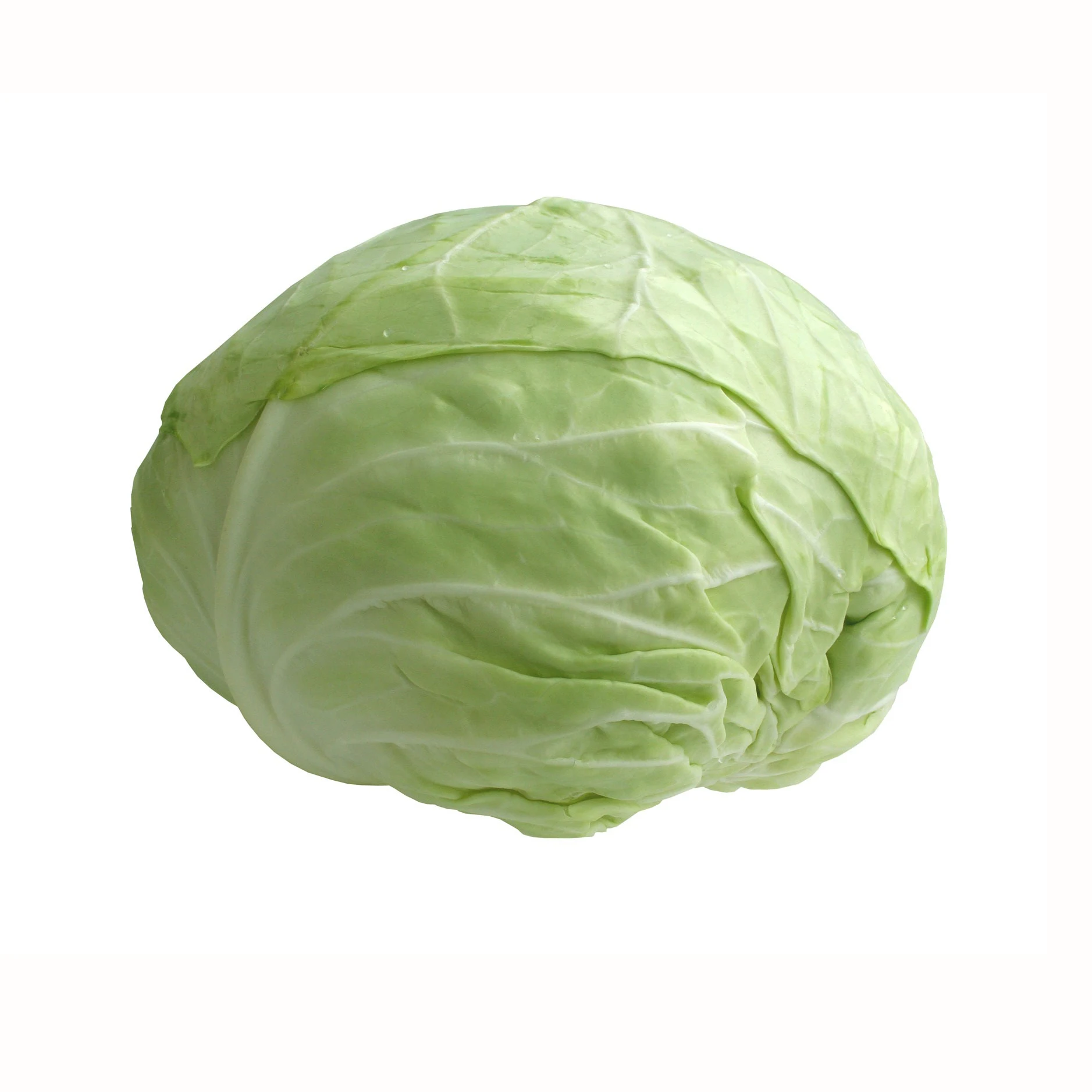 fresh cabbage fresh vegetables good quality cabbage wholesale with factory low price