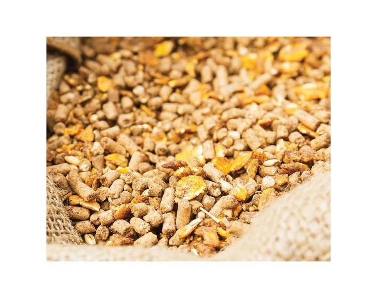 Animal feed with high protein content 50% - 60% fermented soybean meal for fish, cattle, pig, poultry