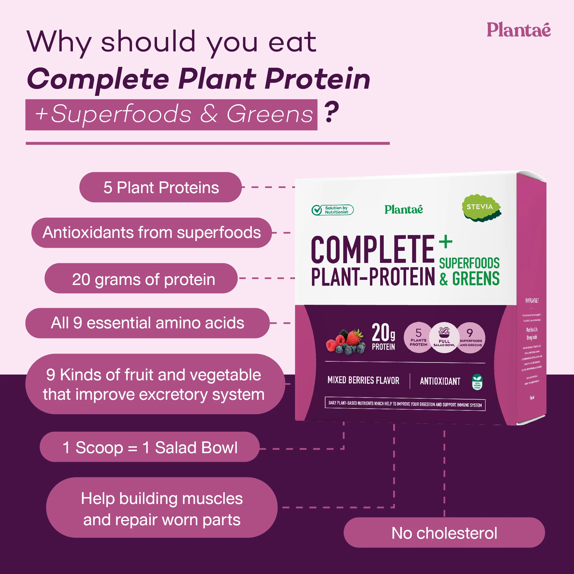 New! Plantae High Quality Premium Grade Complete Plant Protein Plus Superfood & Greens Mixed Berries flavor Box from Thailand