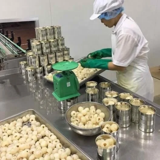 Консервированный фруктовый личи в сиропе-Ms. Julie + 84