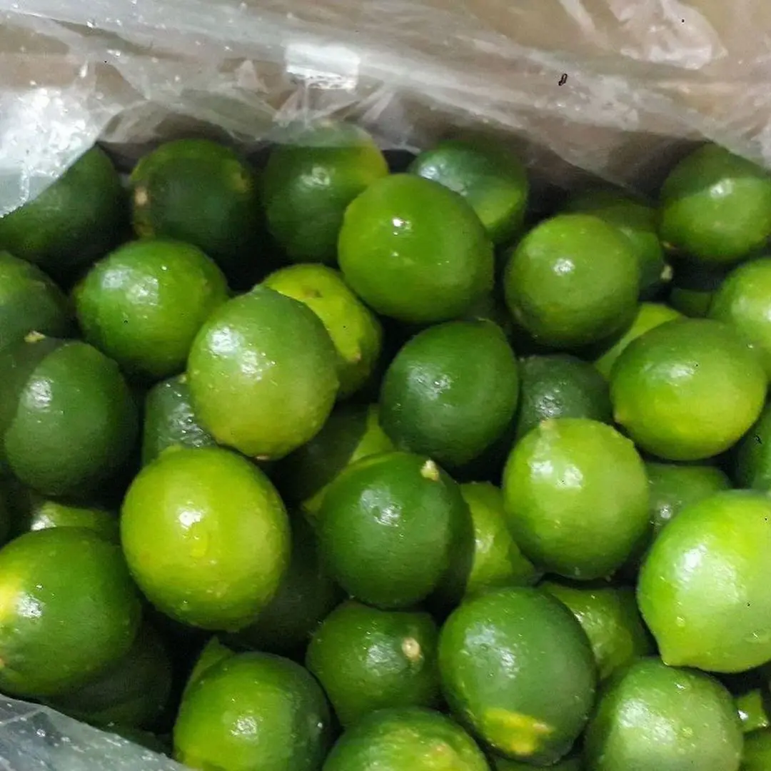 fresh seedless lime 11.jpg
