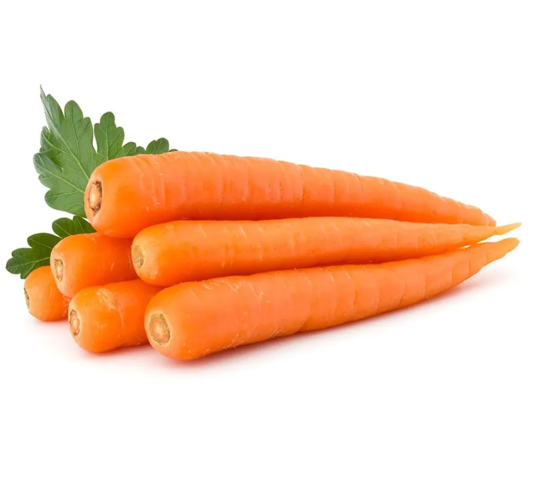 Свежий урожай моркови Вьетнам Быстрая доставка