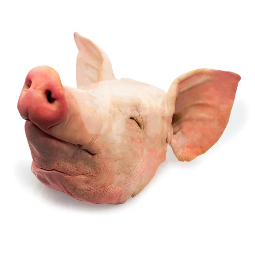 Frozen-Pork-Head-Meat.png