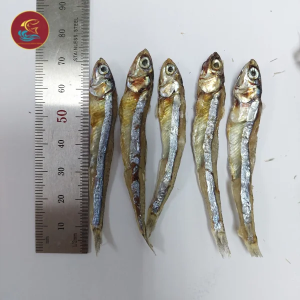 Dried Popular Anchovy 100% Natural From Vietnam High Quality Seafood Hot Deal 2022