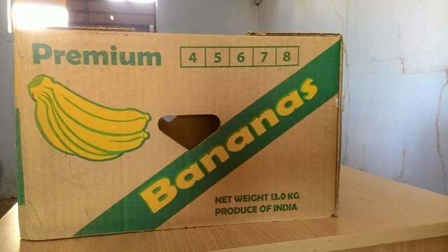 Export High quality popular fruit of Musa acuminata Cavendish Banana Exports in India to Motaf Lavan Iki Island Ishigaki