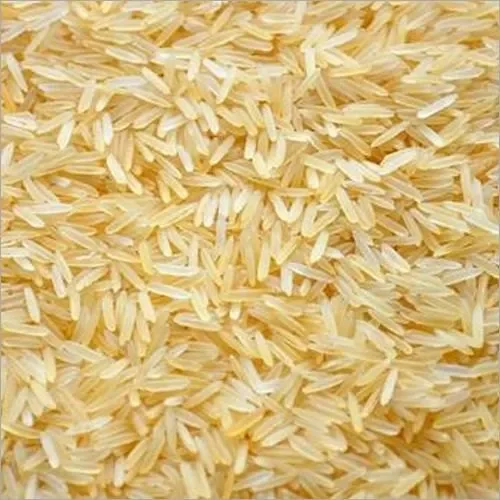 1121 Basmati golden Rice