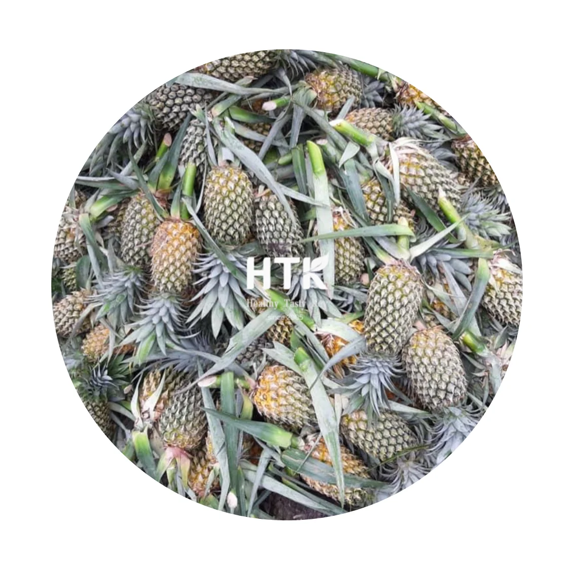 Лидер продаж 2022 ЗАМОРОЖЕННЫЙ КУБИК ананаса IQF сделано в Вьетнаме 100% натуральный От HTK FOODS для пищевых продуктов и