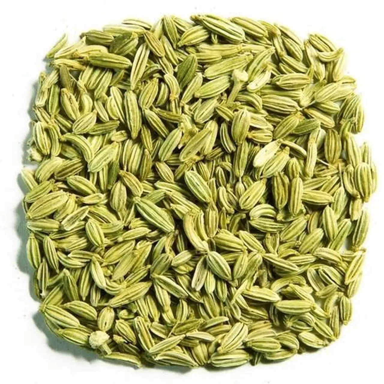 Natural Raw Fennel Seeds for Sale in Bulk with High Quality Fresh Aromatic Fennel Seeds Wholesale for Spices