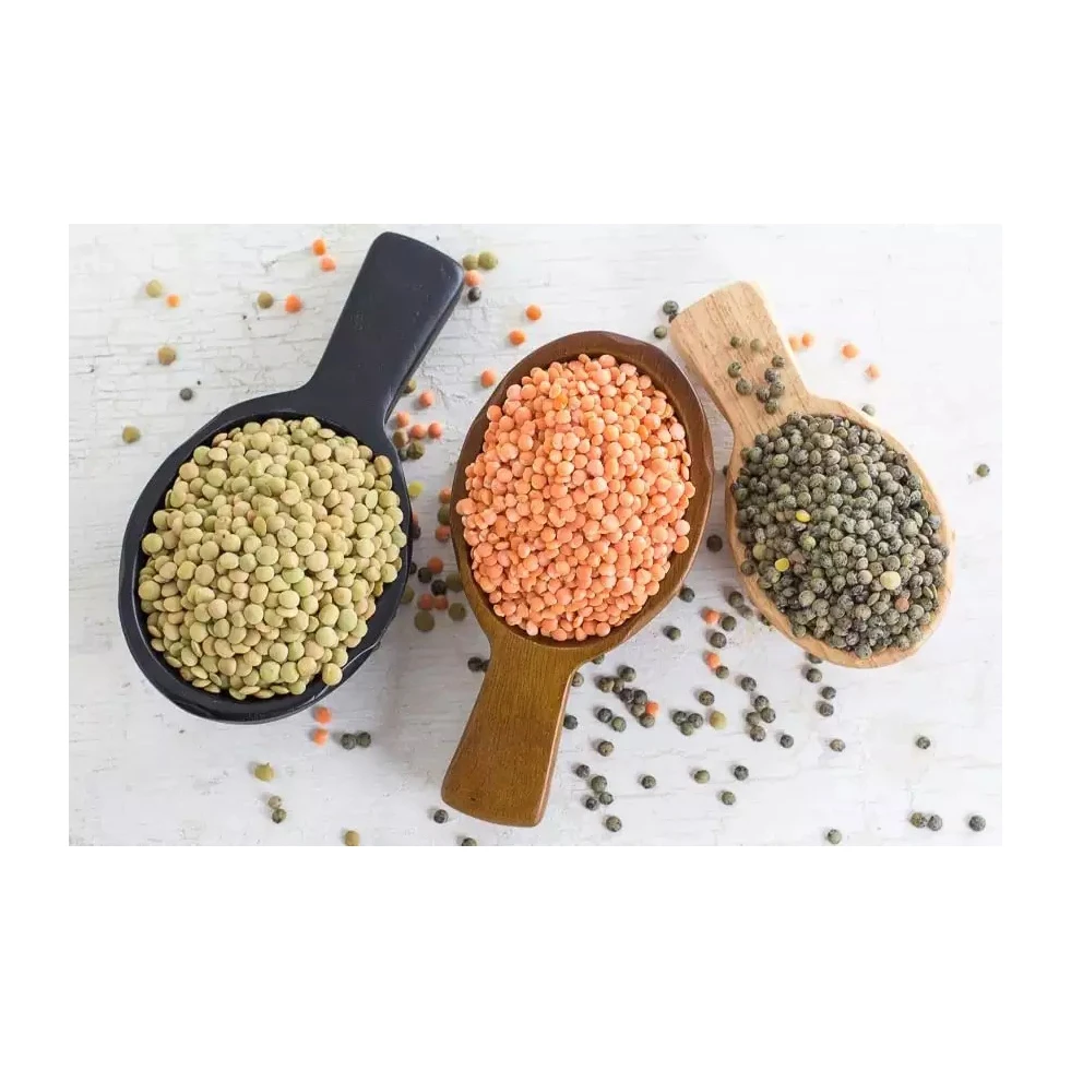 Premium Quality Wholesale Lentils For Sale In Cheap Price