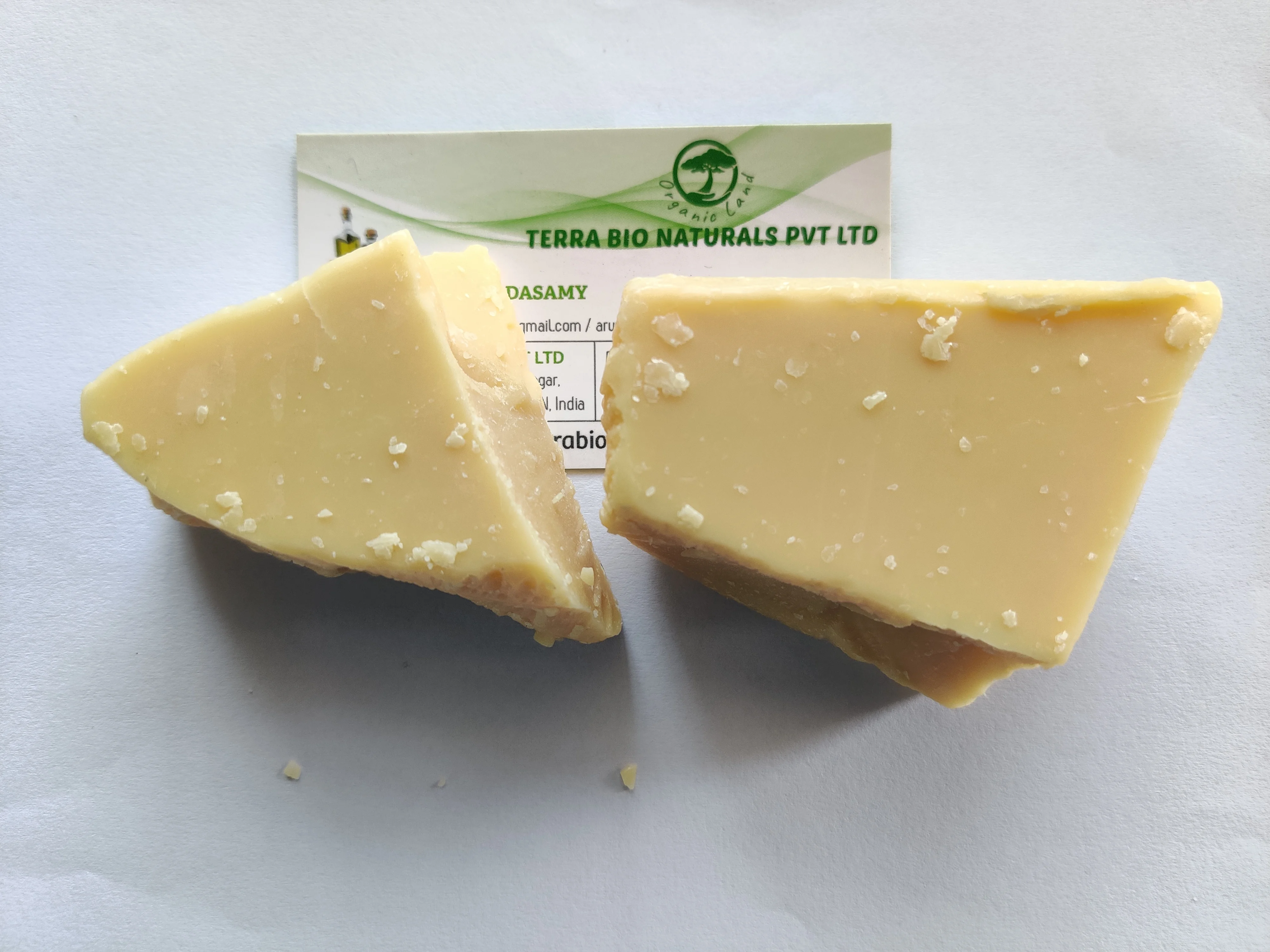 Best Price Terra Bio Candelilla Wax For Cosmetic Grade Skin and Body Care Supplier and Manufacturer In India