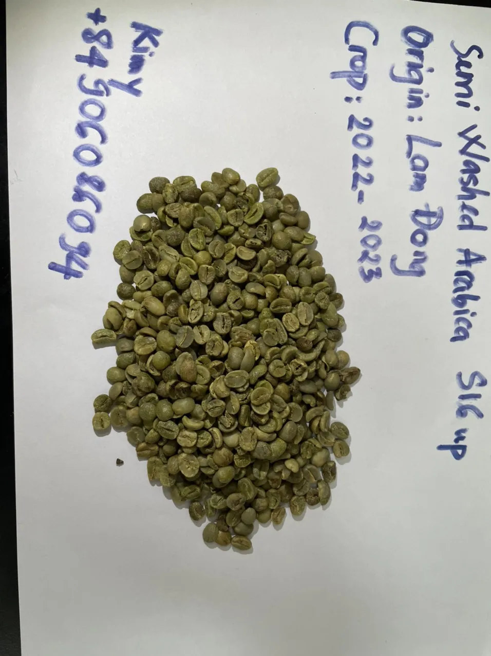 Color Weight Variety Shelf Origin Type Life Coffee Beans Green Coffee Beans Arabica Semi Washed S16  HUNG TAM VN from Vietnam