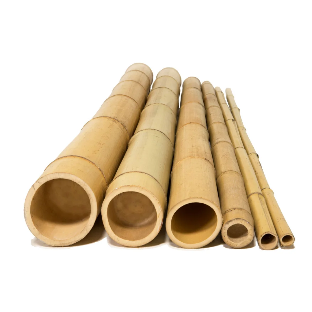 Top Quality Natural Bamboo Pole For Construction From Eco2go in VietNam