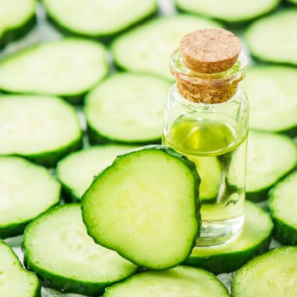 Leading Bulk Exporter & Distributor Cold-Pressed Cucumber Seed Carrier Oil Fresh and High-Quality Oil Cosmetic Grade Best Price