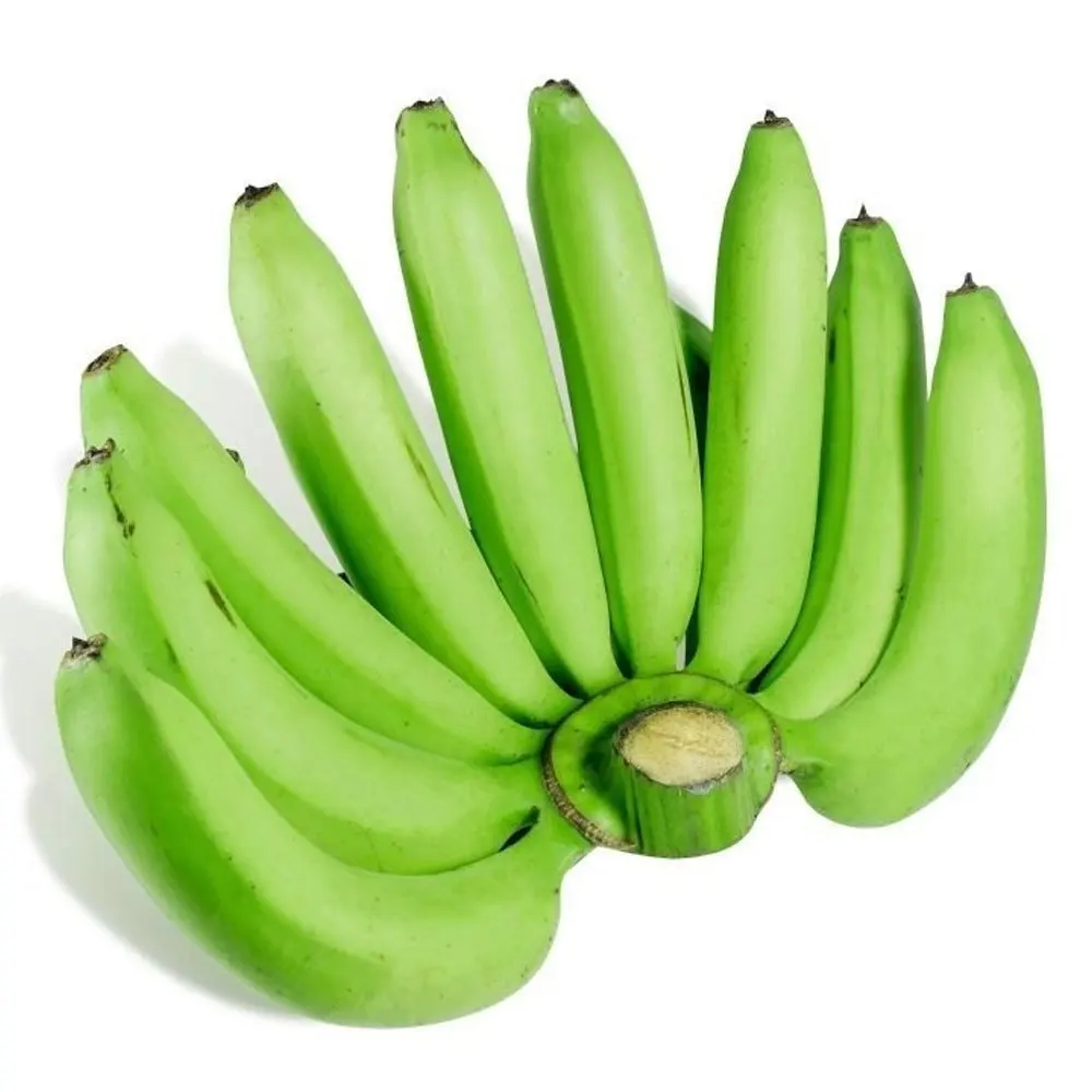 Vietnamese Premium Fresh Cavendish Banana Green Banana for Sale Farm Price