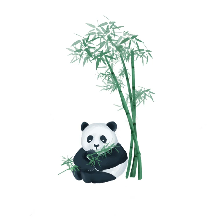 Cheap Custom Self-Adhesive Paper Stickers Waterproof and Various Kinds Printed with Paper Printing