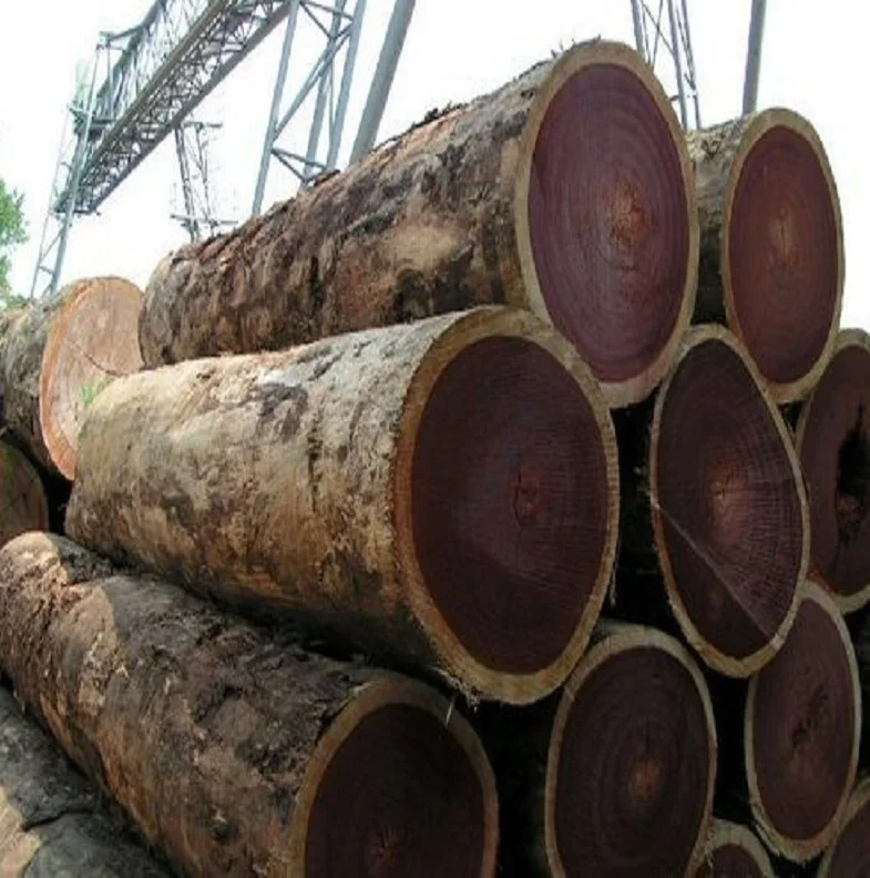wood  Logs14.jpg
