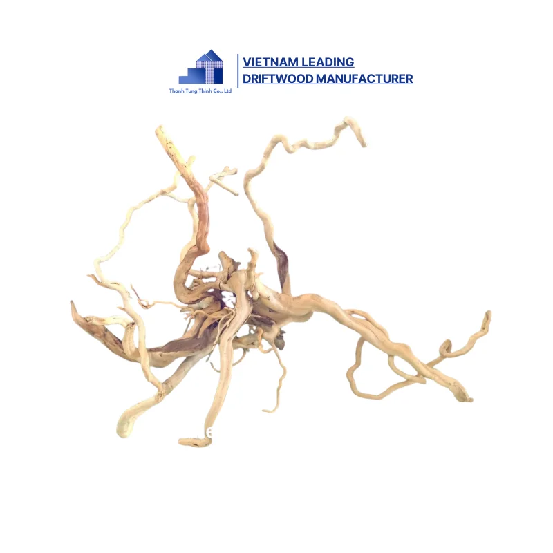 Hot Selling 2024 Natural Decor Roots Driftwood for Aquarium and Accessories with best price WhatsApp: +84 963 949 178