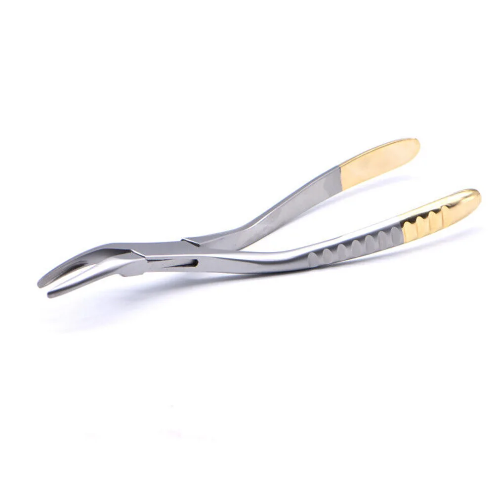 Premium Stainless Steel Dental Extraction Forceps for Effective Tooth Extraction