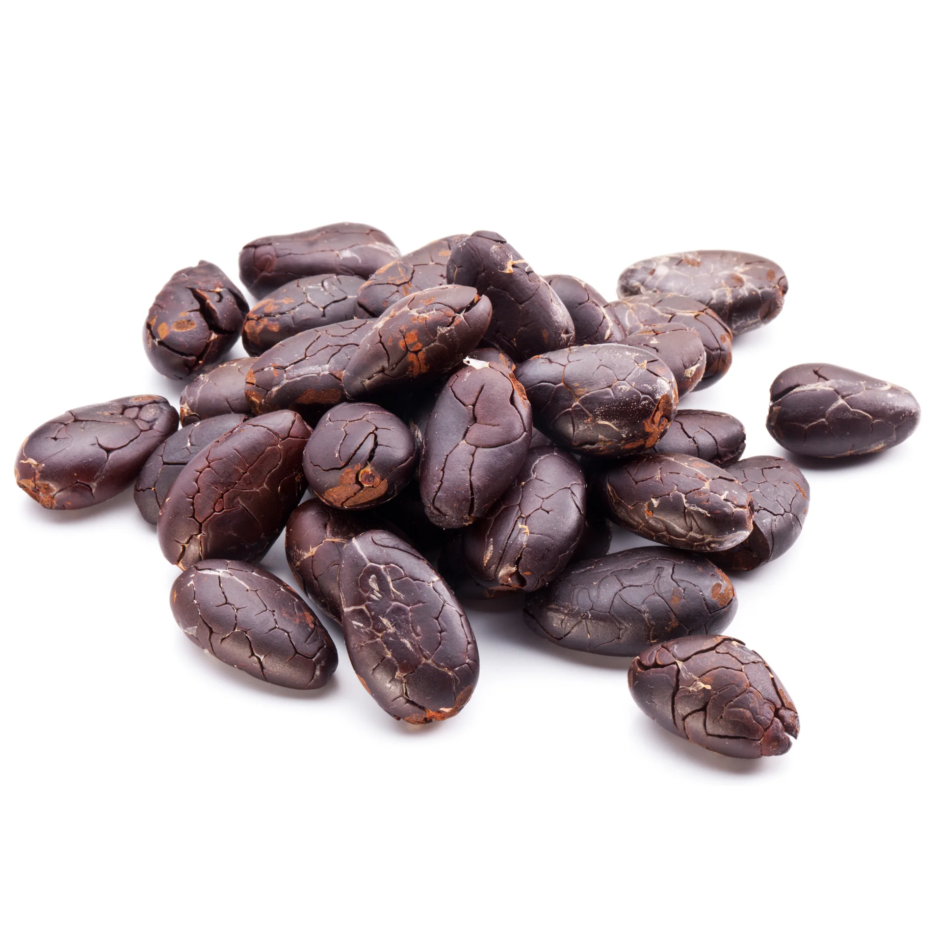 Cocoa Beans New Crop fermented cocoa beans