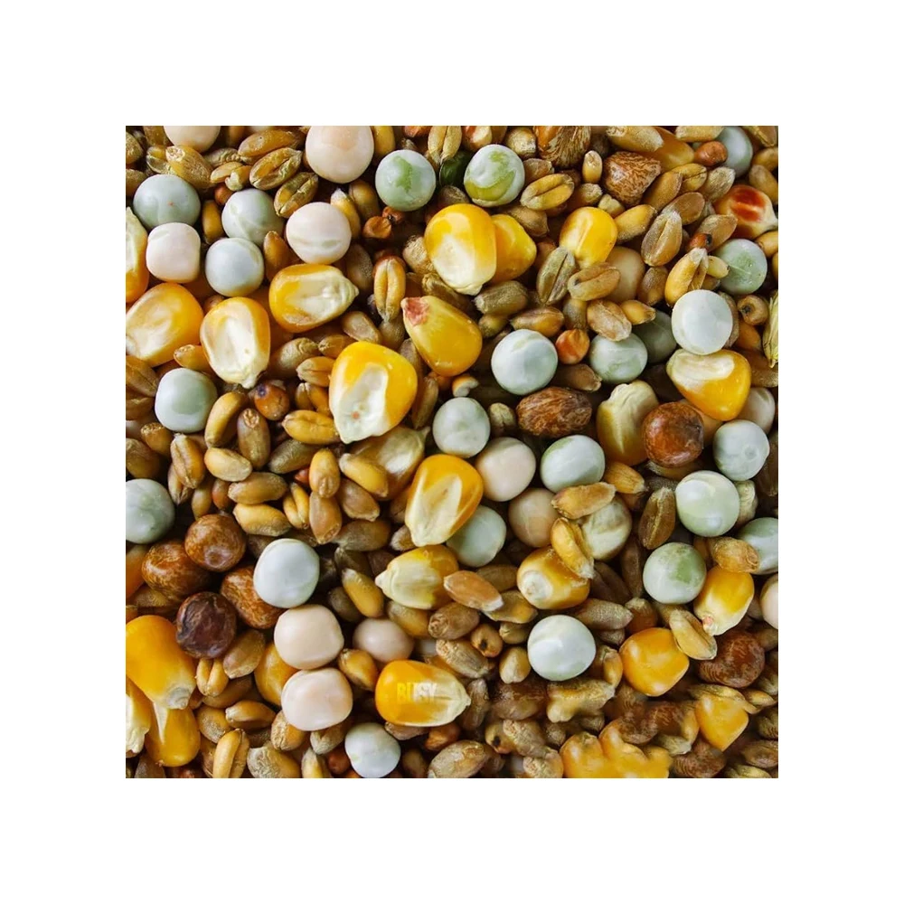 Best Quality Pet Food Bird Seed Feeder Pigeon Food Natural Mix Seed Fresh Bulk Style Storage Packing