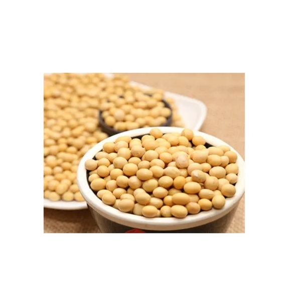 Order Special Offers on Soybean Seed Indulge in Nutrient-Rich Seeds for Successful Farming at Discounted Prices