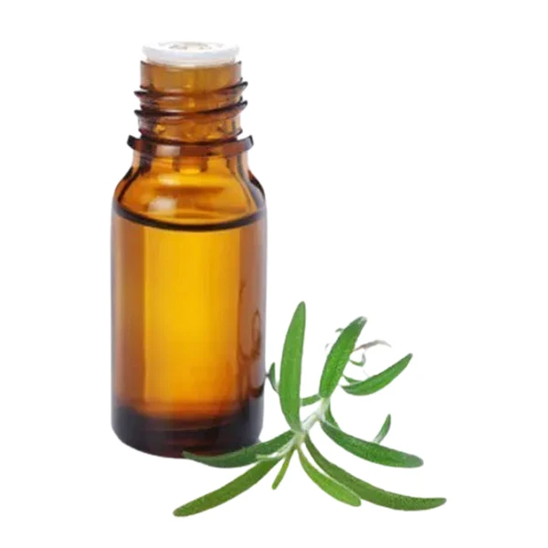 Exclusive Hot Sale on Assured Quality Chemical Free 100% Organic Manuka Essential Oil for Wholesale Buyers