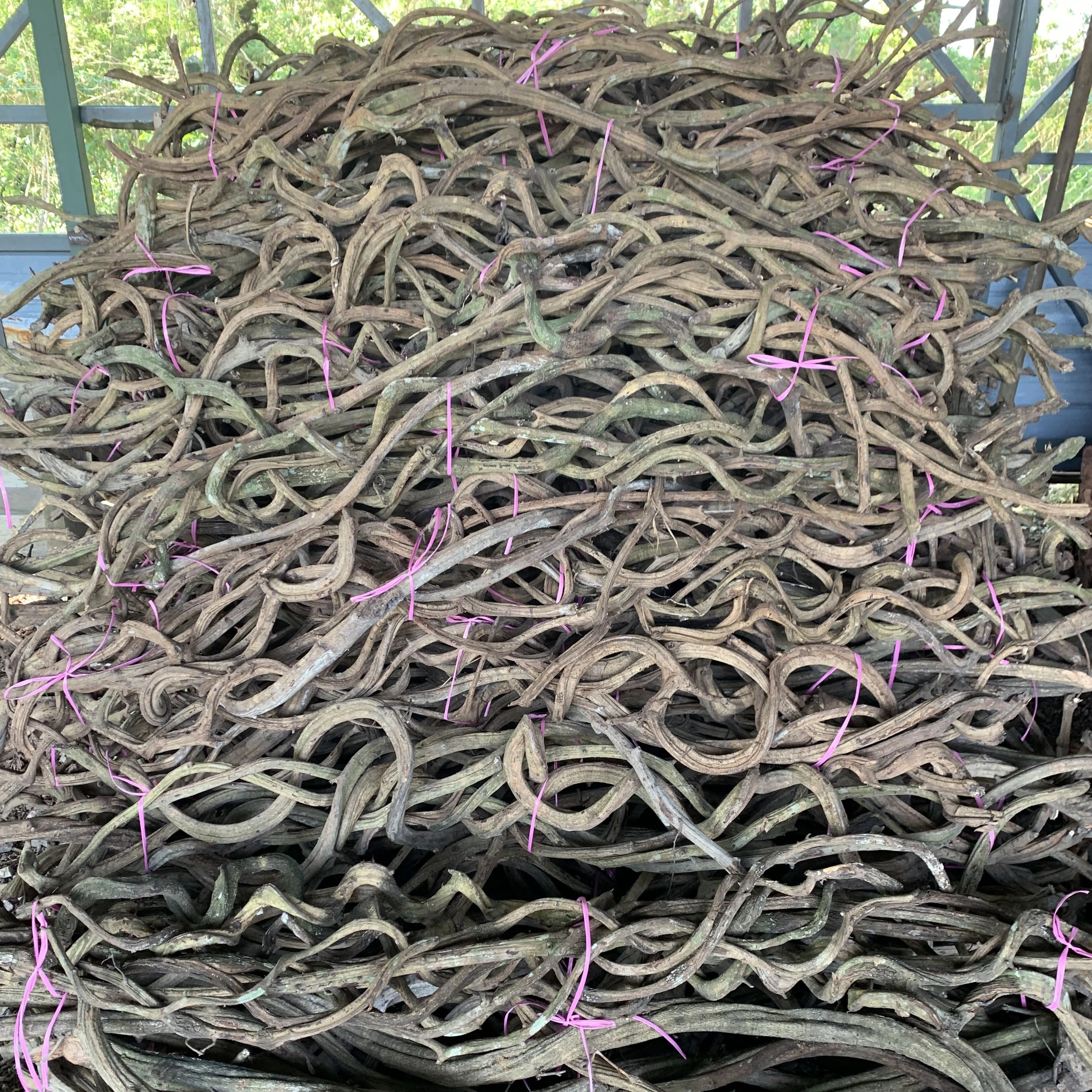 Unique Top Selling Natural Liane Wood Bird Cage Bird Reptiles Aquariums & Accessories Pet Home Pet Products Wooden Furniture