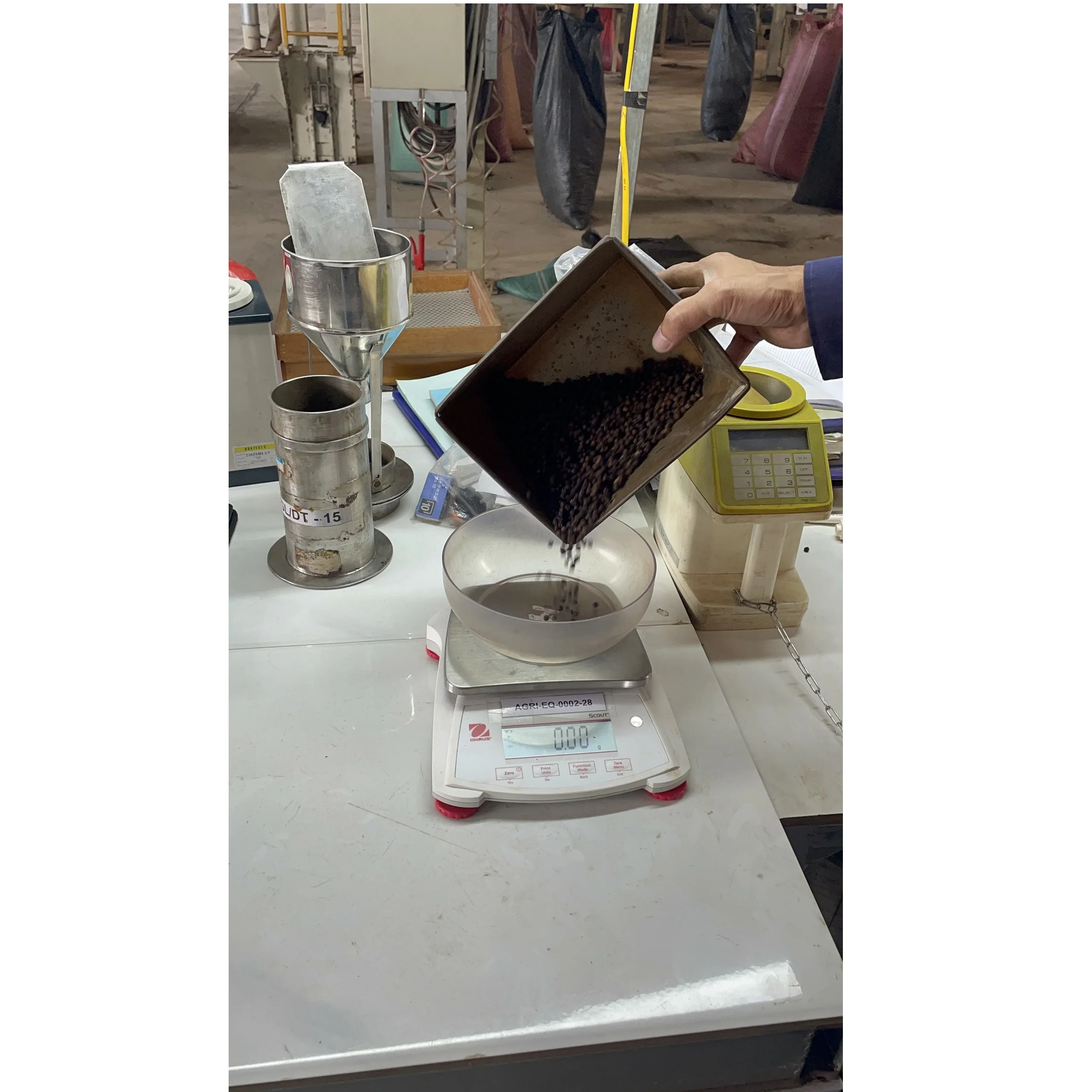 Wholesale Best Price Black Pepper With High Quality From Vietnam 100% Pure For Cooking Herbs And Ingredients