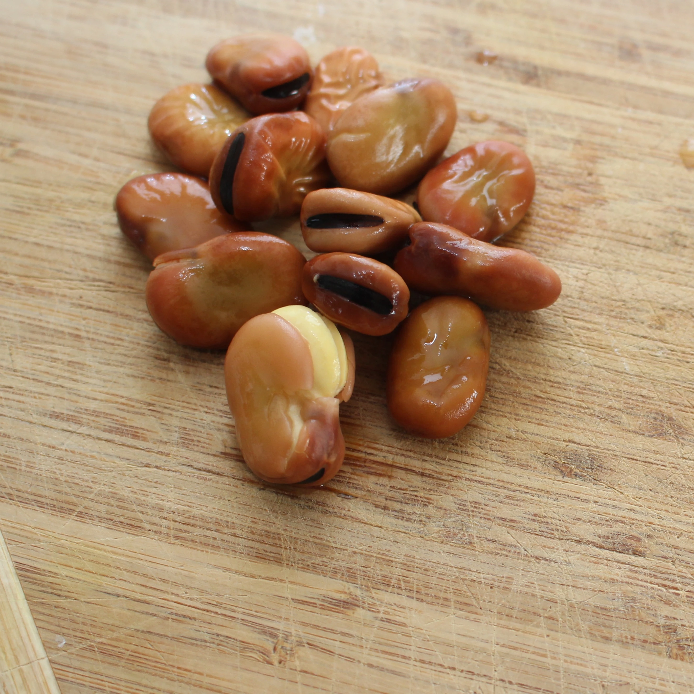 Wholesale Baked Boiled Broad Beans Fava Bean Canned Food 2 Years Shelf Life  Ready to Eat