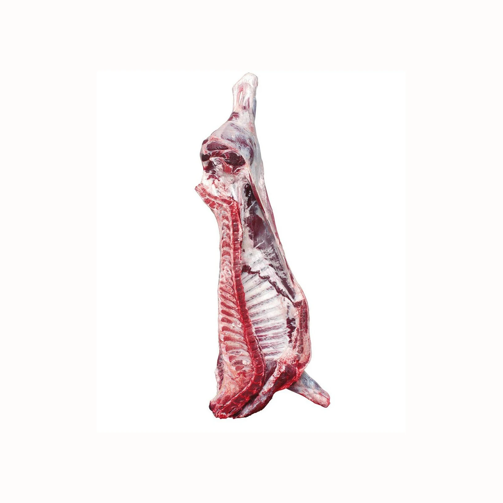 Available for Supply  BEST QUALITY FROZEN Pork ORIGIN Frozen Front Pork grade Cheap frozen meat FROZEN PORK IN 6 WAY CUT CARCASS