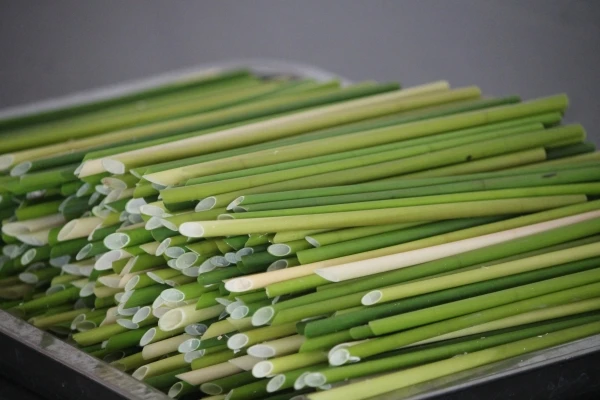Cheap Grass Straws Used Daily To Replace Plastic Straws Are Natural Products That Protect The Environment