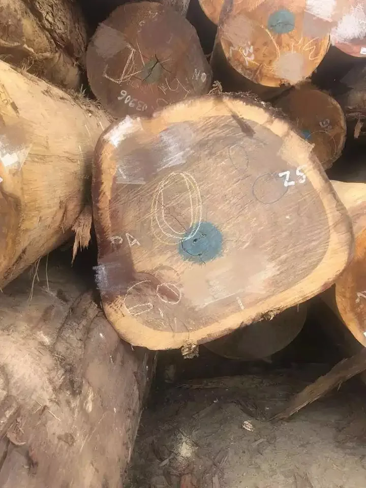 Дешевые деревянные бревна Wenge/ Bilinga /Teak