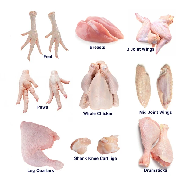 Frozen Chicken Paws Manufacturer in Sao Paulo Brazil