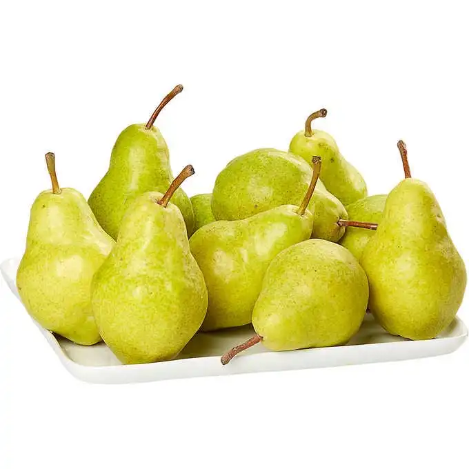 Fresh ya Pears with Taste of very sweet & juicy ya pear Harvested from Hebei gardens export to USA