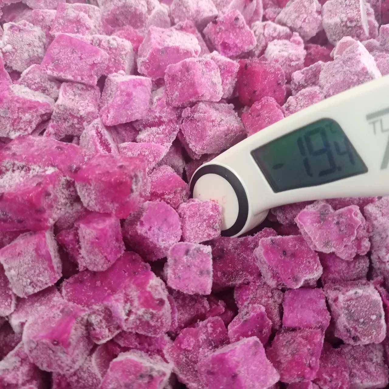 Best Selling High Quality Different Size Frozen Red Dragon Fruit (Pitaya) with Global GAP Certificate from Vietnam