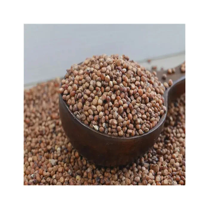 Hot Selling Price Organic Whole Sorghum Grains in Bulk