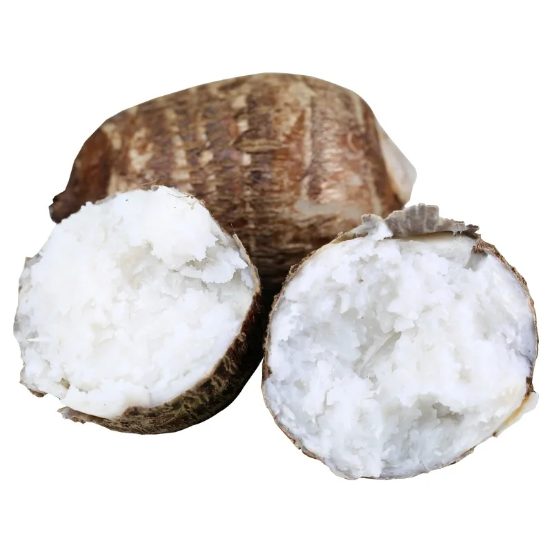 Оптовая продажа свежий Taro низкая цена высокое