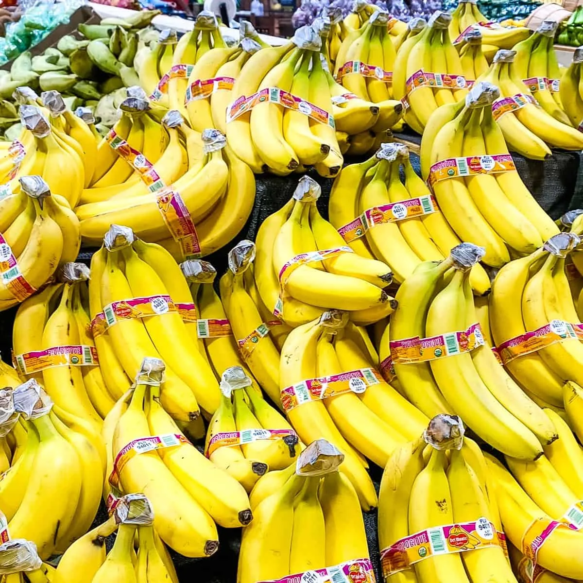 CANVEDISH BANANA-свежий банан с