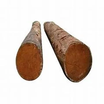 Trusted   Supplier of Timber Logs TEAK Pine Eucalyptus Oak Birch Hardwood Beech for Sale
