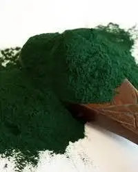 Premium Spirulina Suppliers Wholesale Organic Chlorella Spirulina Powder For Sale 100% Pure