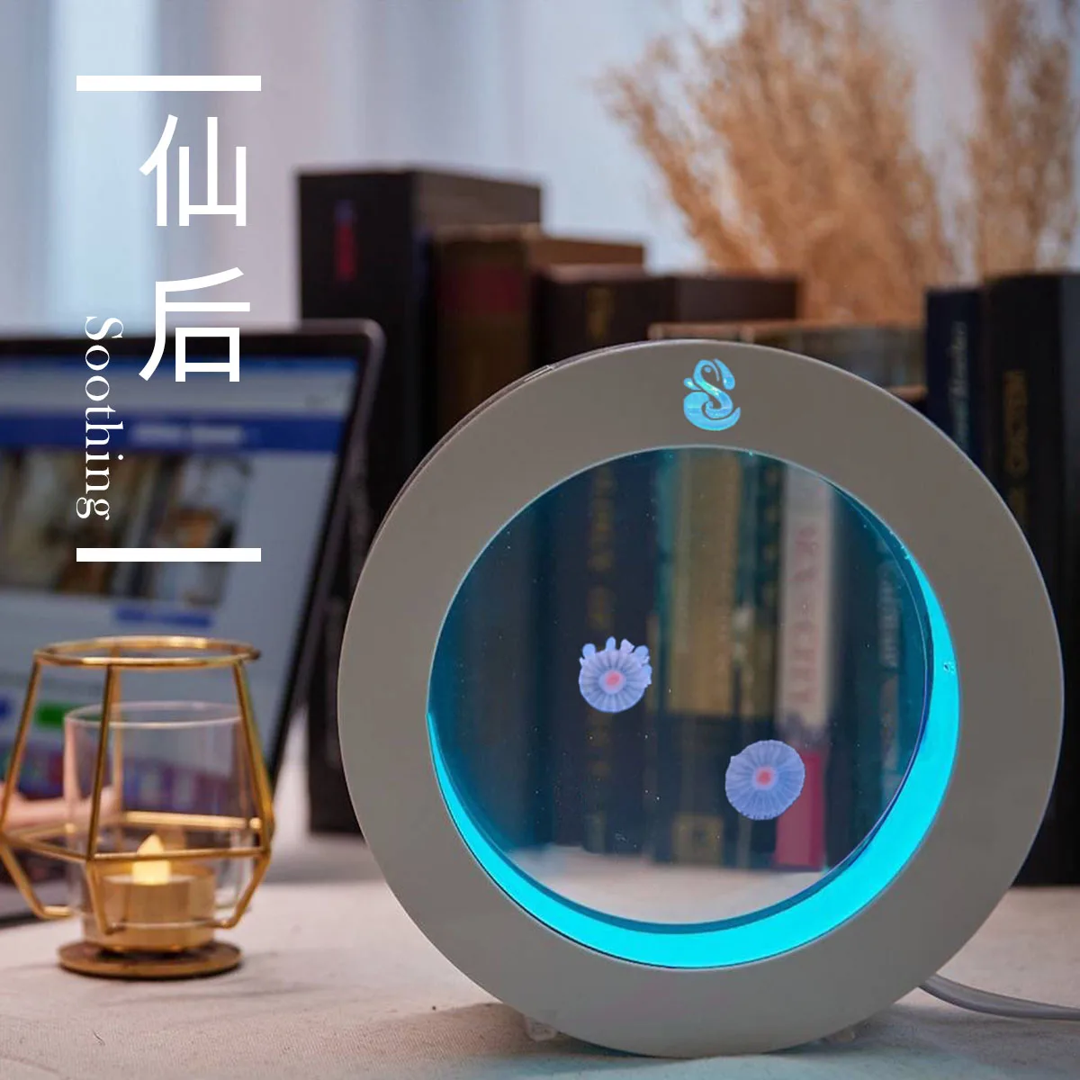 Office lightweight healing 2L jellyfish tank with aquarium oxygenation pump for jellyfish