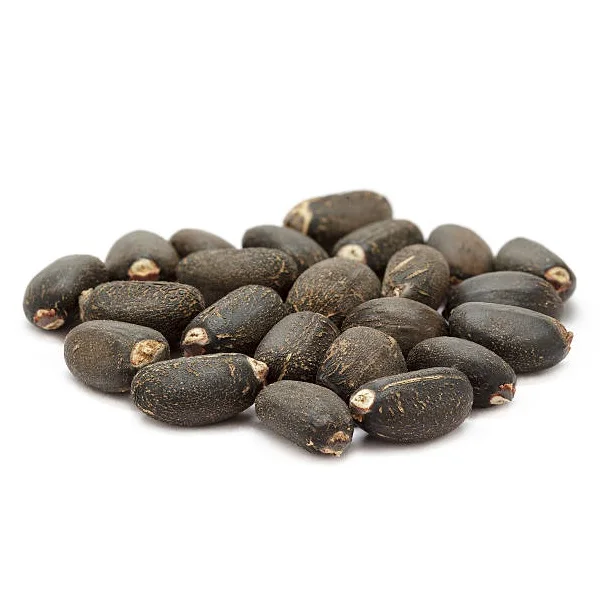 Hot Sale Price of 100% Dried Natural Jatropha Seeds for