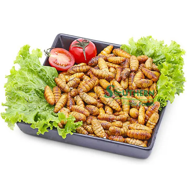 Питательная безопасная пищевая продукция для экспортного стиля, хороший вкус, оптовая продажа морепродуктов, замороженный Шелкопряд, ферма из Вьетнама