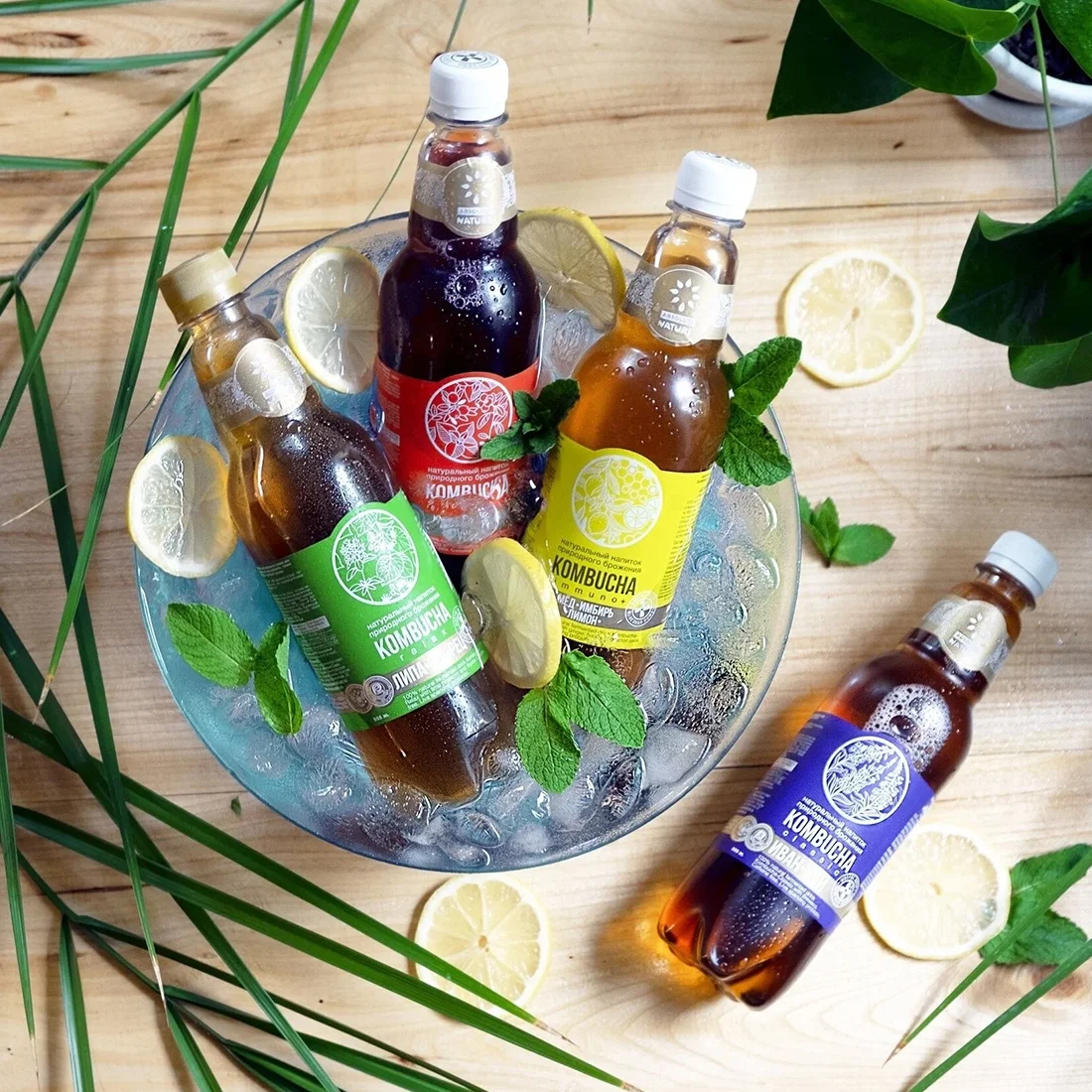 Natural fermented no presernatives and food colors Ivan-tea extract Kombucha-Classic lightly carbonated drink for food