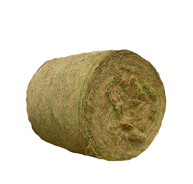 Rhodes grass hay animal feed for cattle sheep cow horse for sale from Pakistan