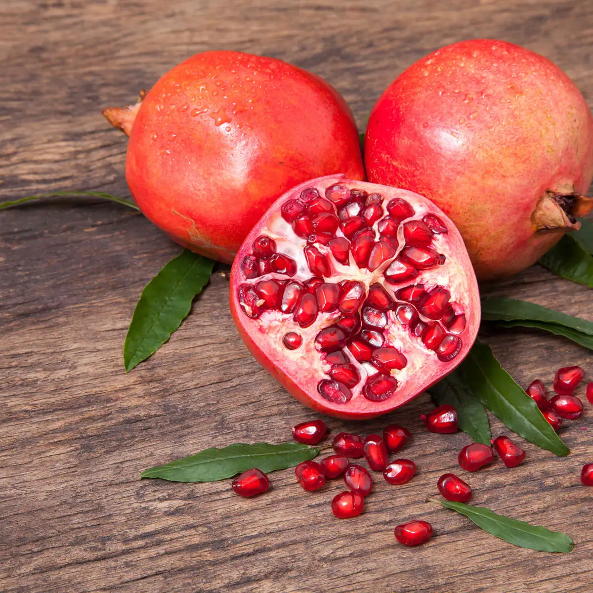 Fresh Pomegranates best quality at competitive price