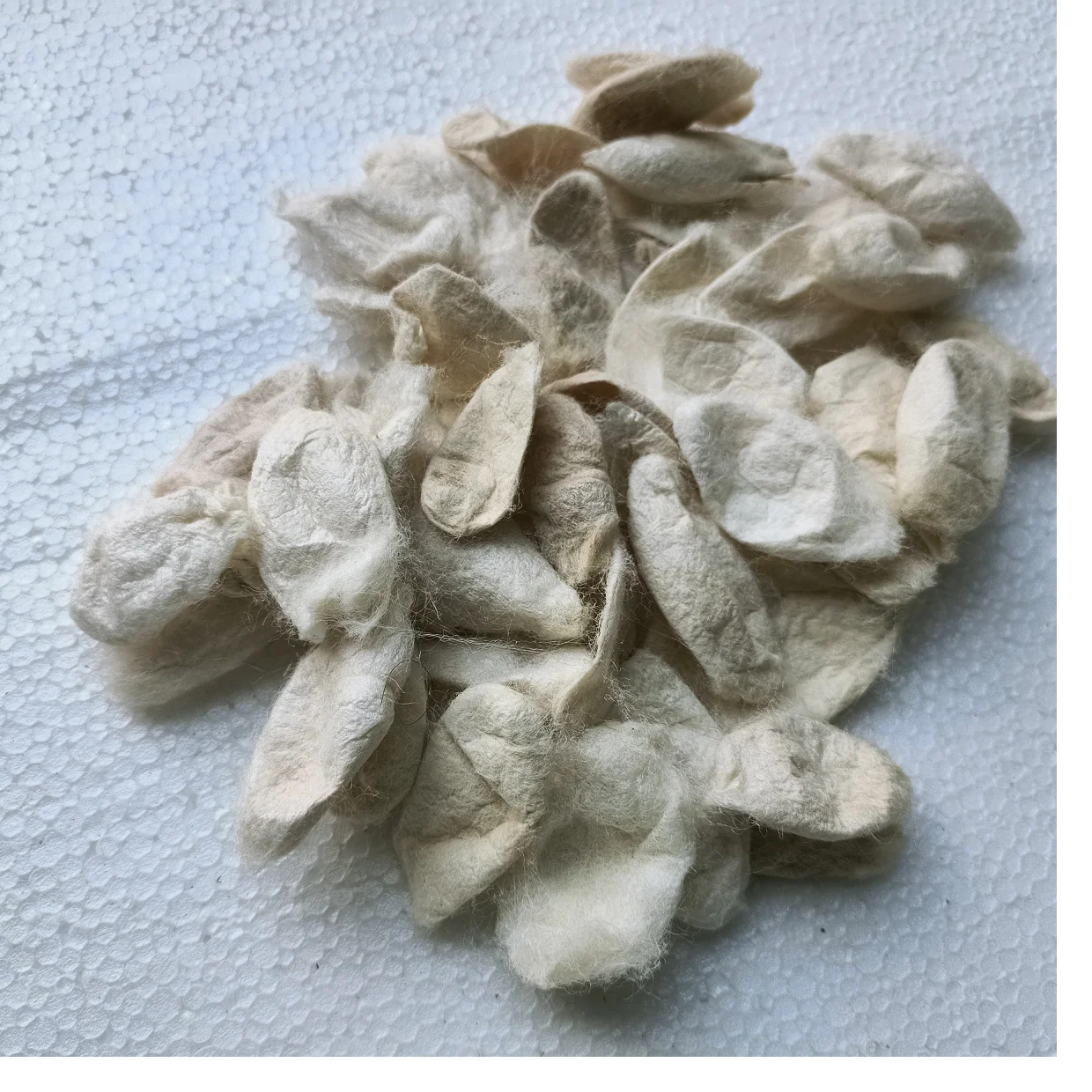 Натуральные шелковые коконы ahimsa ненасильственные для научных проектов и художников по текстилю ремесел