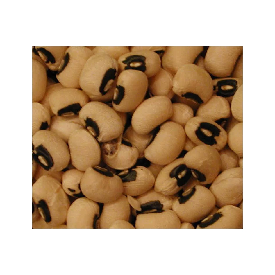 High Quality Pure Natural Black Eyed Peas Beans for sale World wide