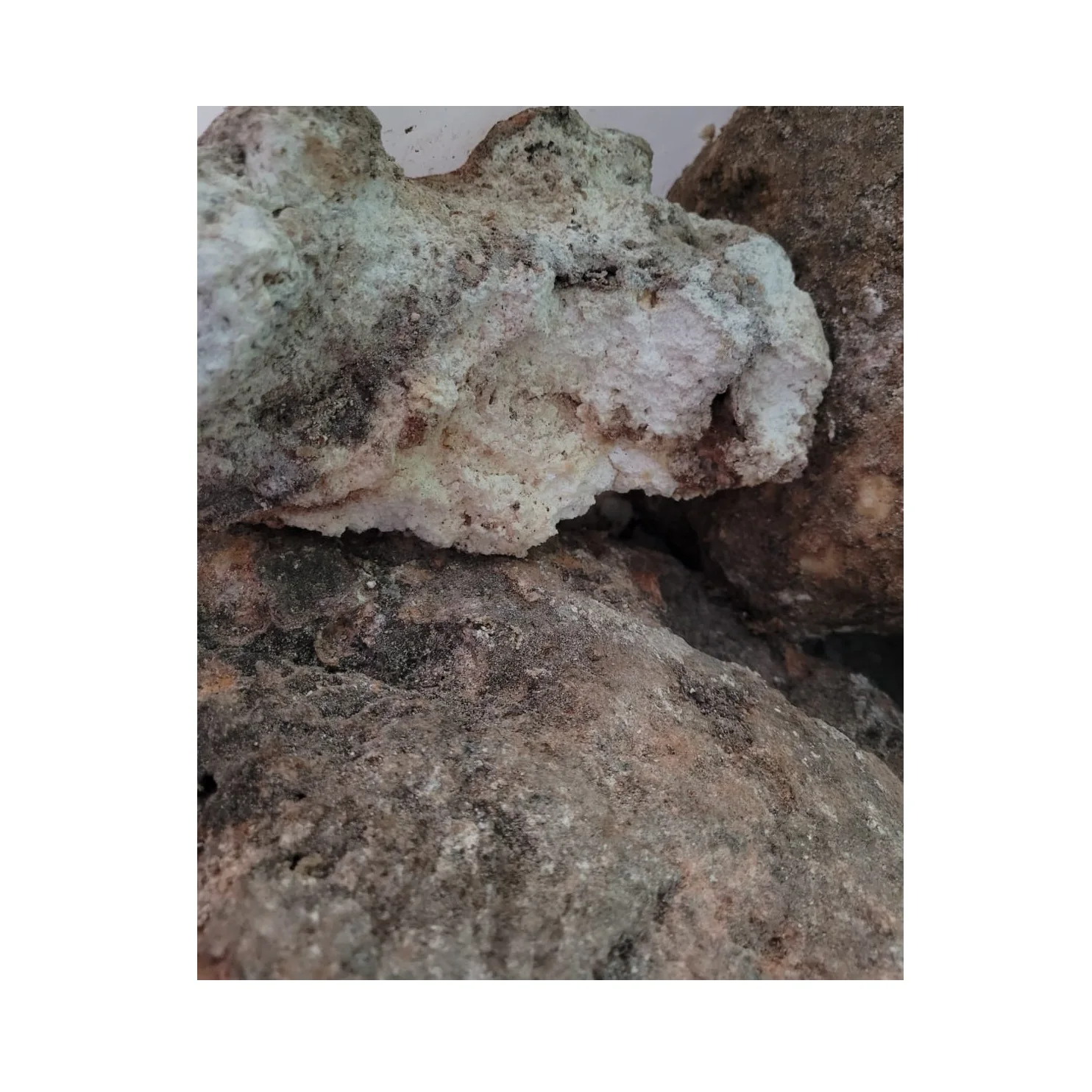 Ambergris Whale price Vomit Floating Gold Ambergris Whale Vomit Wholesale Supplier Ambergris From Indonesia