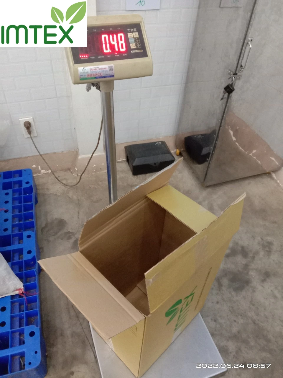 Вьетнамский орех кешью W320 для рынка Ближнего Востока